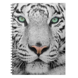 Carnet Tigre blanc