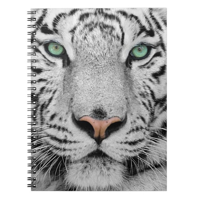 Carnet Tigre blanc (Devant)