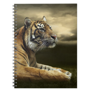 Carnet Tigre regardant et se reposant sous le ciel