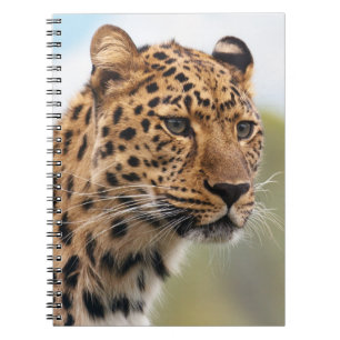 Carnet Tir de tête léopard