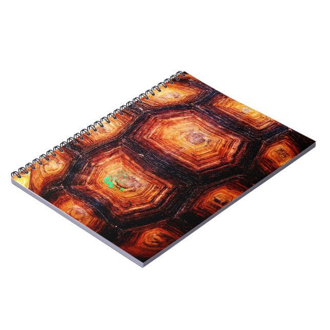 Carnet Tortois (Côté gauche)