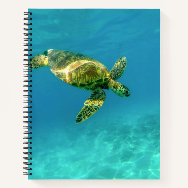 Carnet Tortue de mer nageant dans l'eau turquoise de l'oc (Devant)