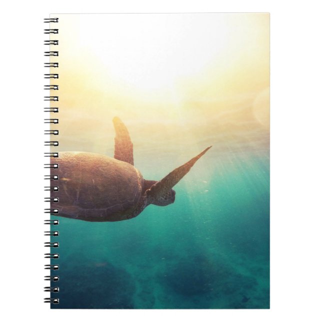 Carnet Tortue de mer - Photographie de la nature sous-mar (Devant)