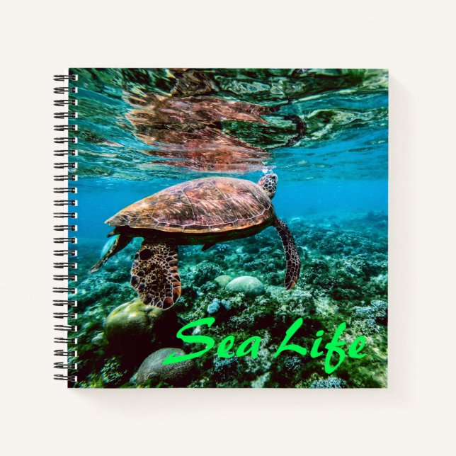 Carnet Tortue sous-marine tropicale (Devant)