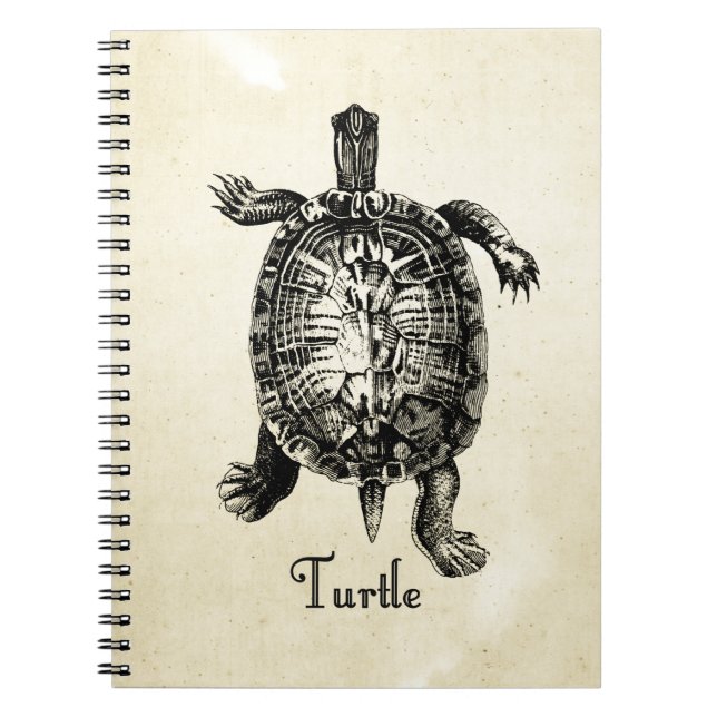 Carnet TORTUE vintage (Devant)