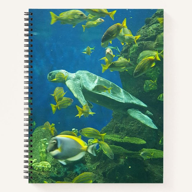 Carnet Tortues (Devant)
