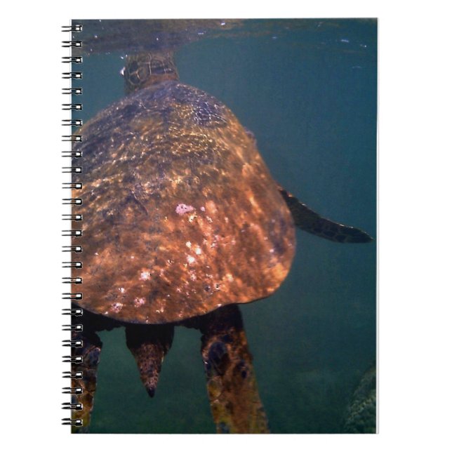 Carnet Tortues de mer hawaïennes (Devant)