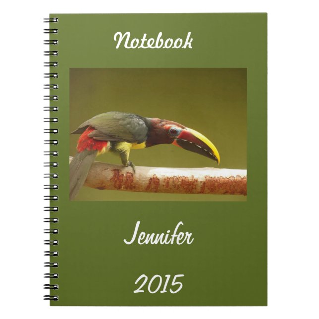 Carnet Toucan fait sur commande d'aracari se tenant sur (Devant)