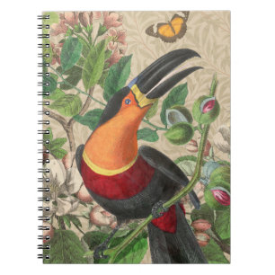 Carnet Toucan Jungle Tropical Bird Belle antique