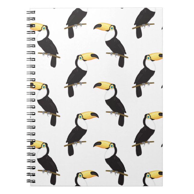 Carnet Toucans (Devant)