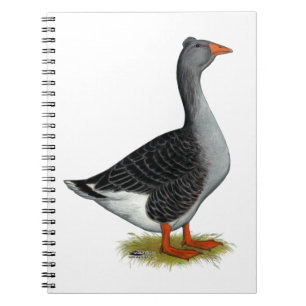 Carnet Toulouse Goose