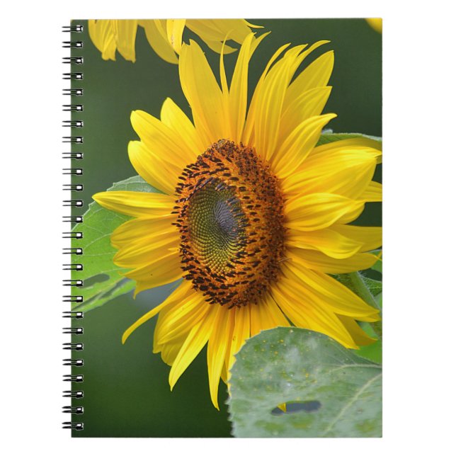 Carnet tournesol (Devant)