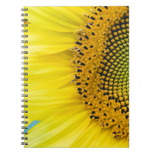 Carnet Tournesol lumineux