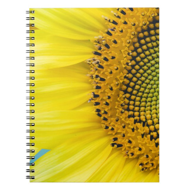 Carnet Tournesol lumineux (Devant)