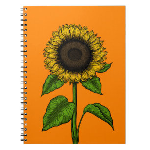 Carnet Tournesol orange