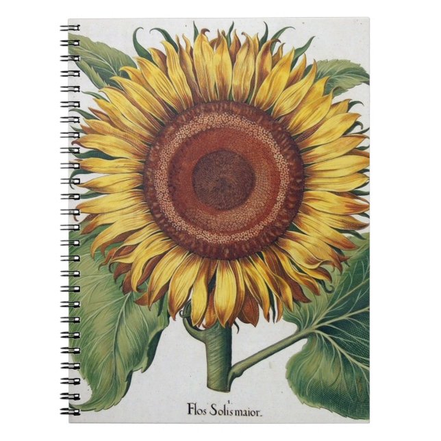 Carnet Tournesol Vintage Damas Fleur Art (Devant)