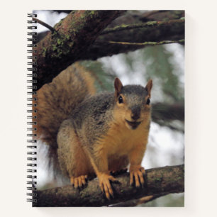 Carnet Tous les sourires