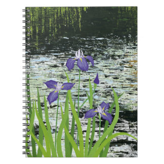 carnet "Tranquillité" Iris violet