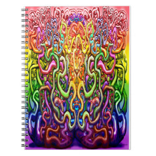 Carnet Transition