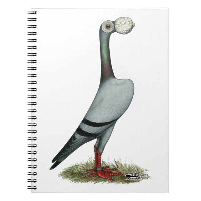 Carnet Transporteur Pigeon 2012 (Devant)