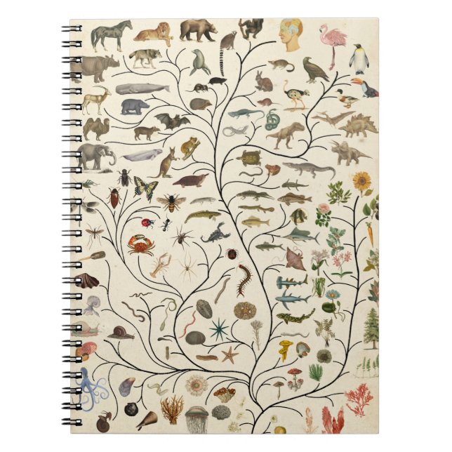 Carnet Tree of Life (Devant)