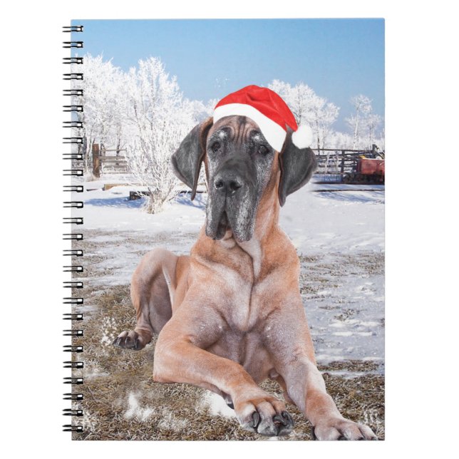 Carnet Très Beau Chien Danse Assis Dans Le Casquette De N (Devant)
