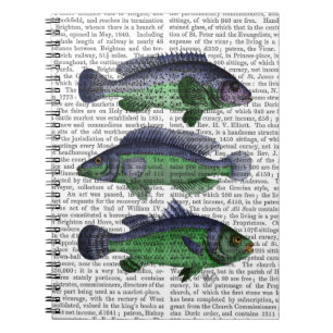 Carnet Trio bleu et vert de poissons