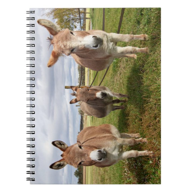 Carnet Trois ânes (Devant)