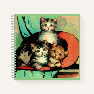 Carnet trois petits chatons