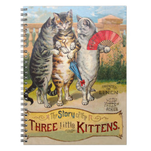 Carnet Trois Petits Chatons Illustration de Mère l'Oie