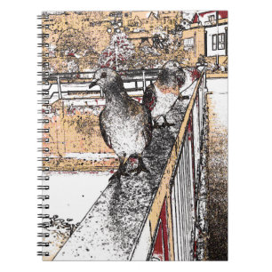 Carnet Trois pigeons