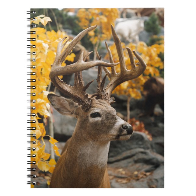 Carnet Trophée Deer (Devant)