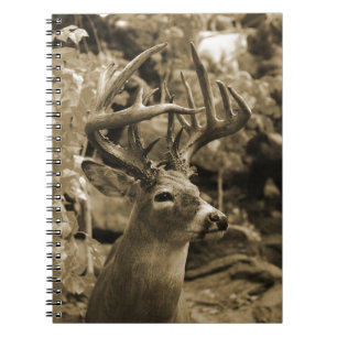 Carnet Trophée Deer