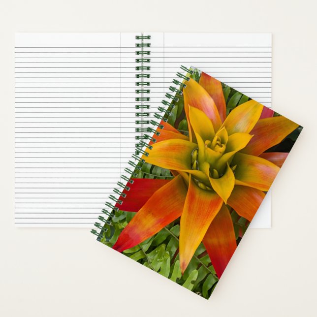 Carnet Tropical Guzmania Plant Floral (À l'intérieur)