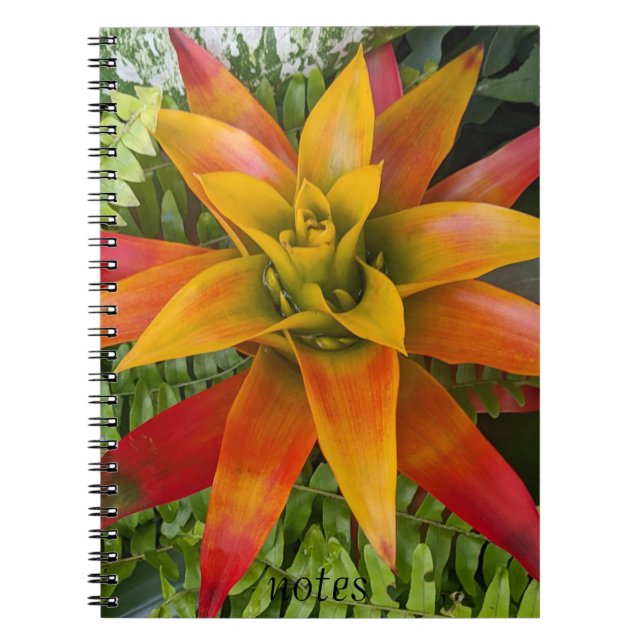 Carnet Tropical Guzmania Plant Floral (Devant)