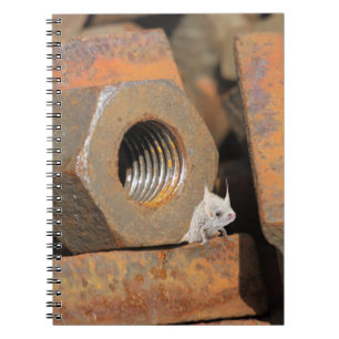 Carnet Trou de boulon extraterrestre