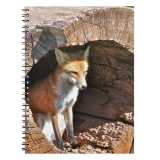 Carnet Trou de Cubby