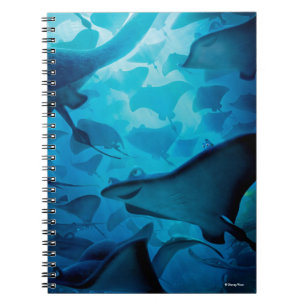 Carnet Trouver Dory   Masquer et rechercher - Rayons