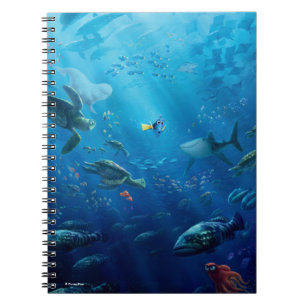 Carnet Trouver Dory   Poster
