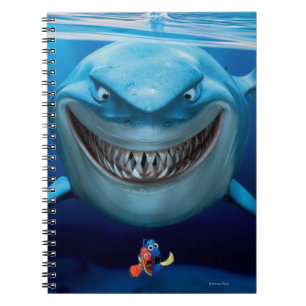 Carnet Trouver Nemo Bruce Grinning