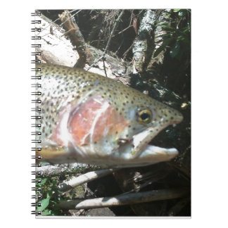 Carnet Truite arc-en-ciel