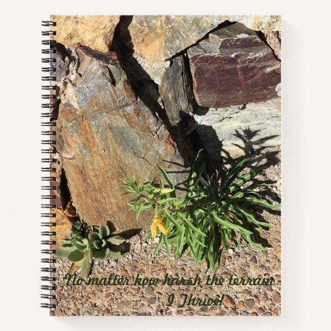Carnet Tucson-Mt Lemmon (Devant)