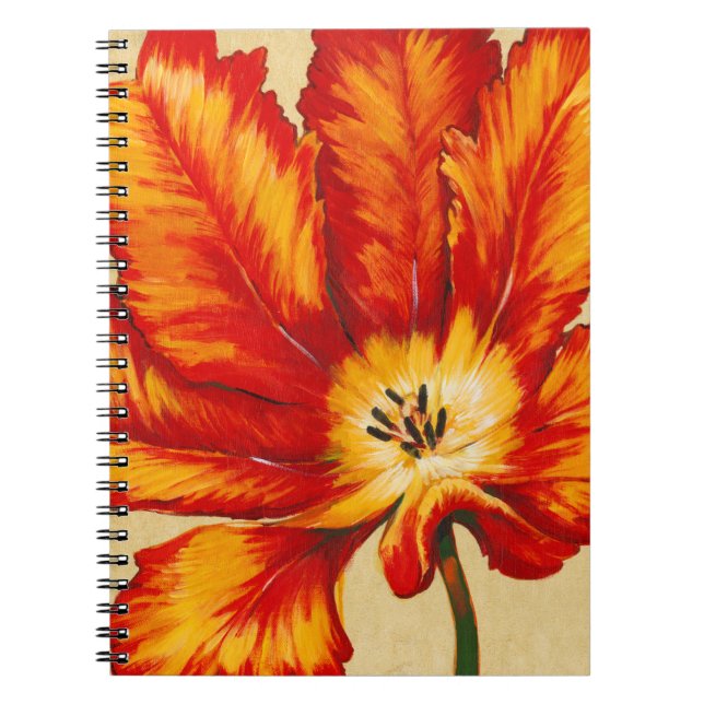 Carnet Tulipe de perroquet II (Devant)