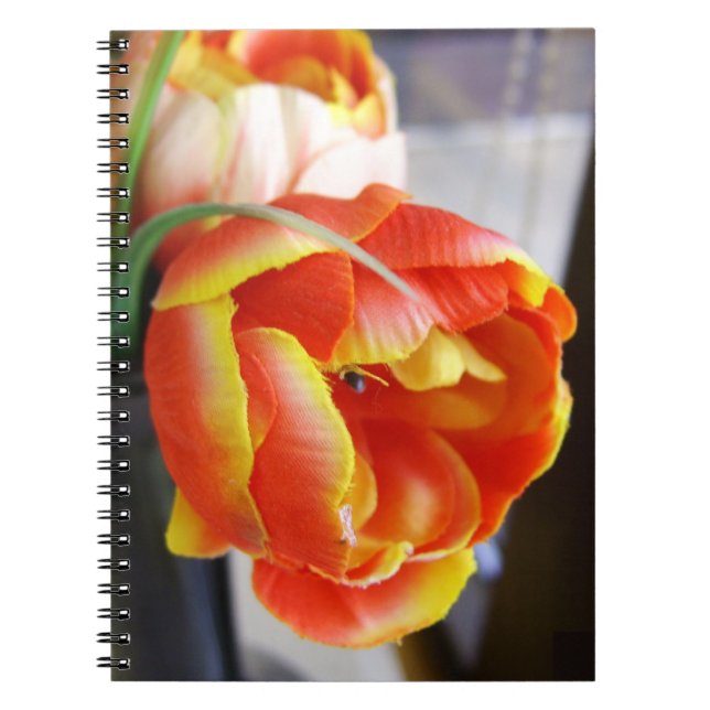 Carnet Tulipe de soie (Devant)