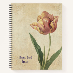 Carnet Tulipe Vintage (Tulipa culta)