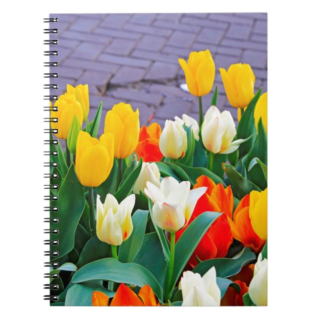 Carnet Tulipes (Devant)
