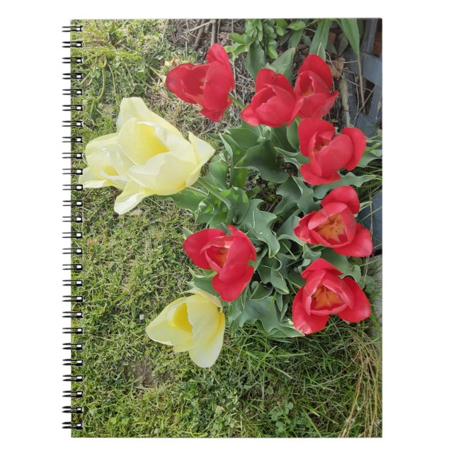 Carnet Tulipes (Devant)