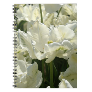 Carnet Tulipes blanches