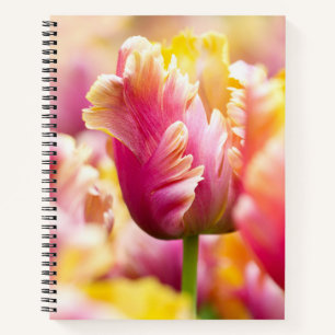 Carnet Tulipes de gros plan