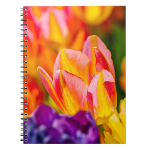 Carnet Tulipes Enchantant